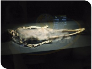Auténtico esqueleto de la Sra. de CAO