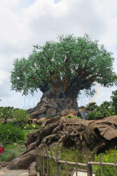 p25-ago2017-09 Pandora Disney