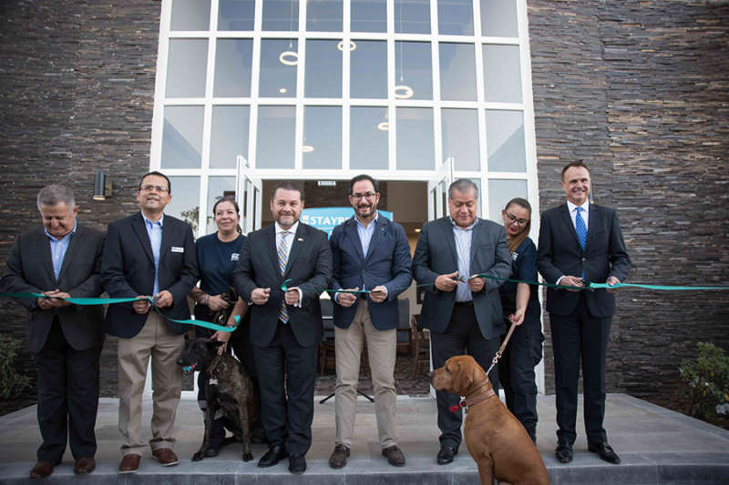 Luis Manuel Quiroz, Moisés Mendoza, Flor Herrera, Fernando Olivera, Braulio Arsuaga, Juan Antonio Morales, Alejandra Gutiérrez y Gerardo Murray
