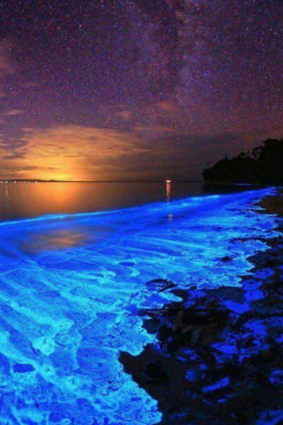 Lagunas de Chacahua, Oaxaca