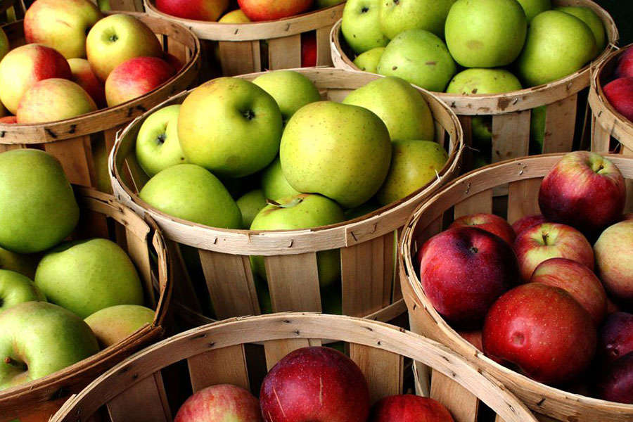 Feria de la Manzana