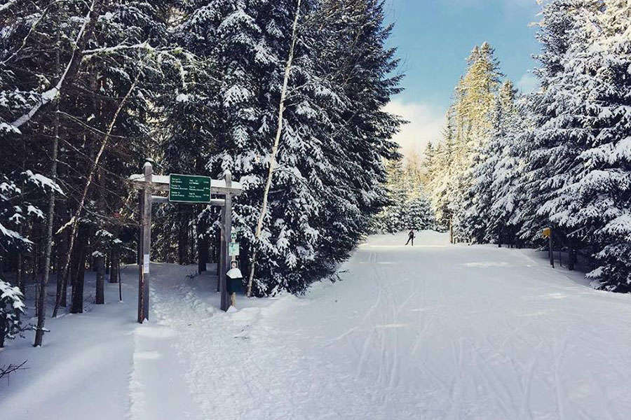 Los parques de Quebec