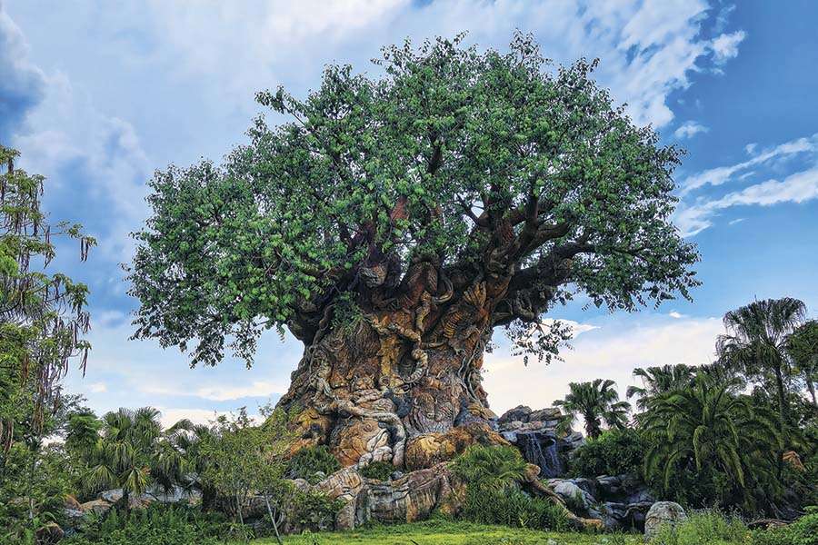 animal kingdom