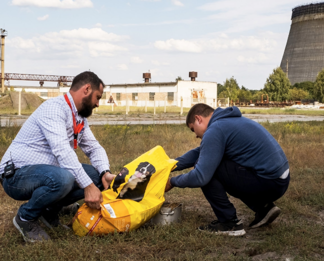 captura-de-pantalla-2019-12-03-a-las-10-06-17