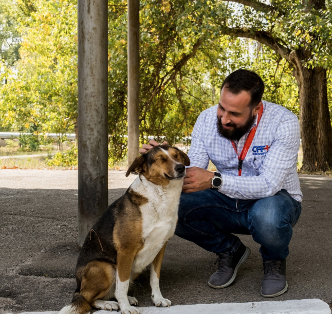 captura-de-pantalla-2019-12-03-a-las-10-06-59