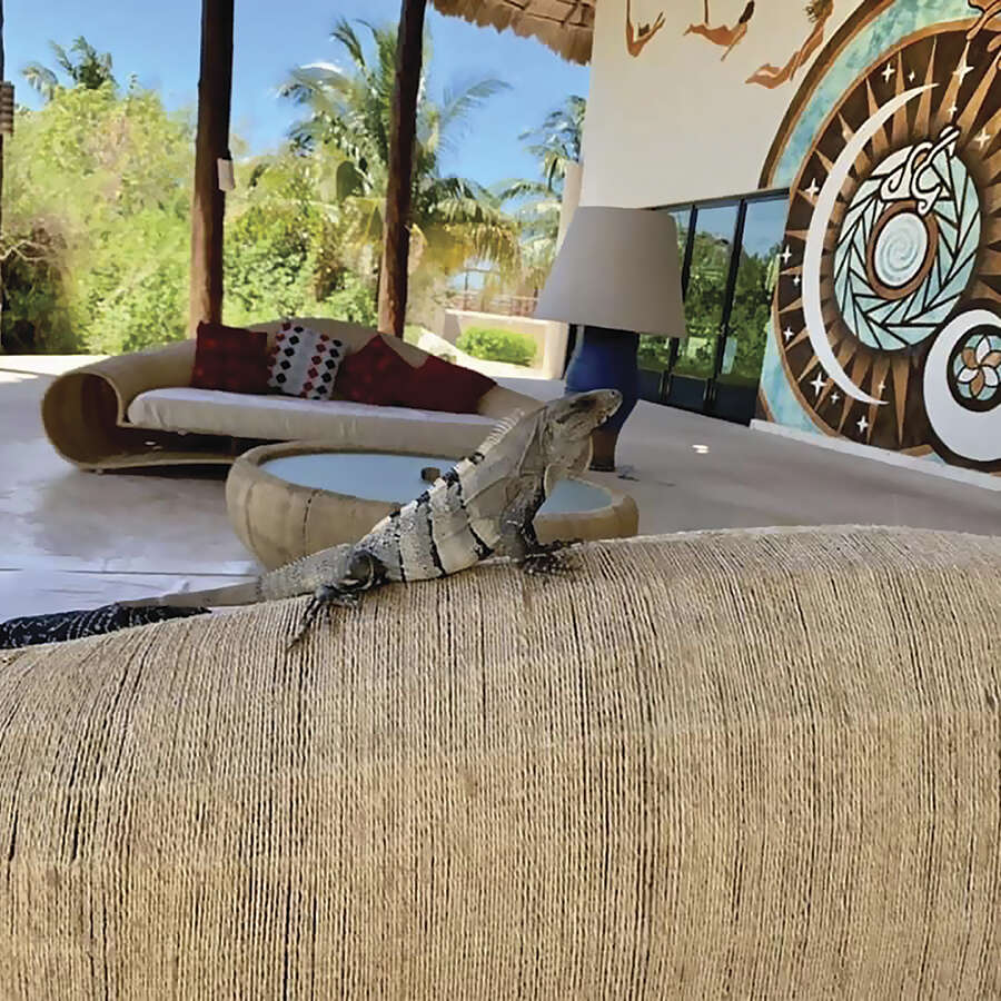 Xixim Unique Mayan Hotel Xixim Unique Mayan Hotel