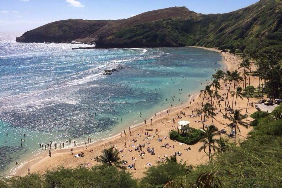 hawai reapertura