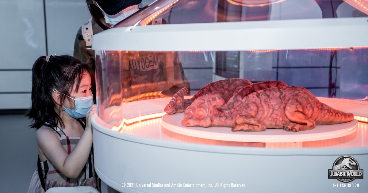 209001325_1529593677418368_8187072991750626131_n