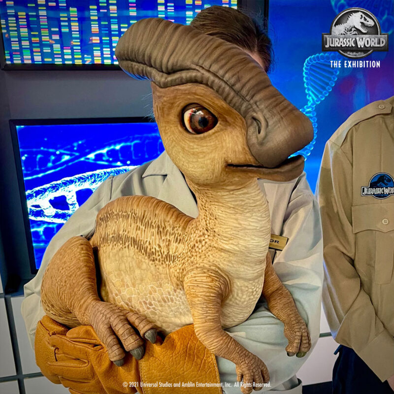 217401294_1538547299856339_3141925724795842707_n