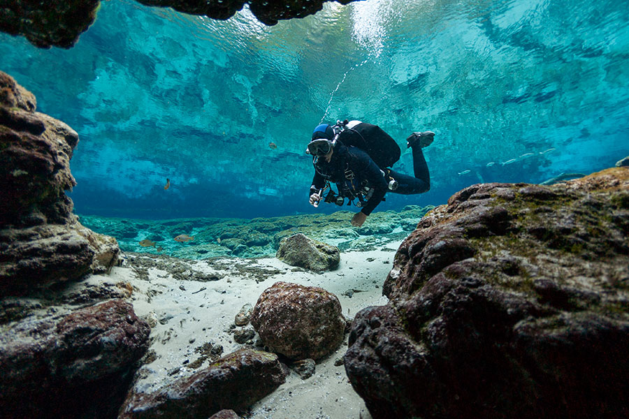 ginnie-springs_shutterstock_1014120679