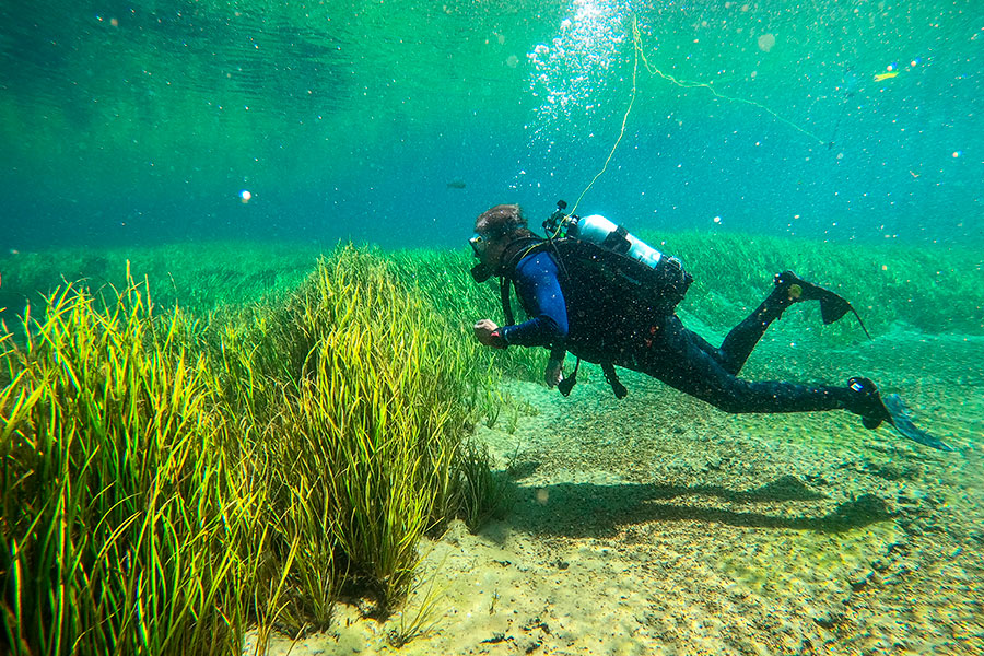 rainbow-river_shutterstock_1808676688