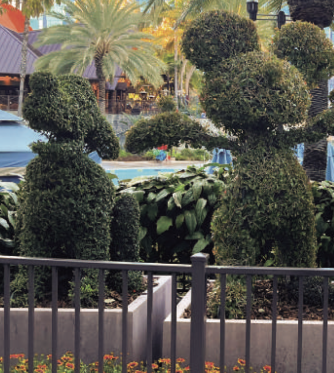 Captura de pantalla 2023-03-14 a la(s) 5.40.16 p.m.