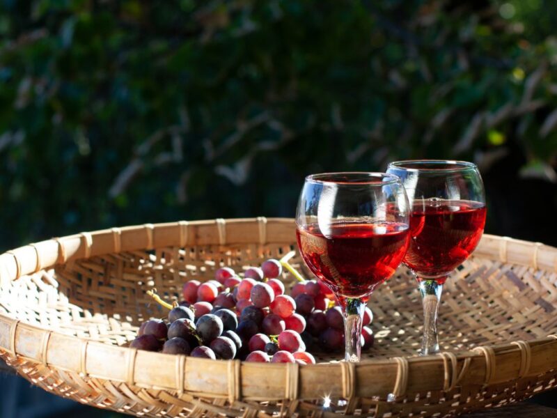 Destinos para beber vino en México