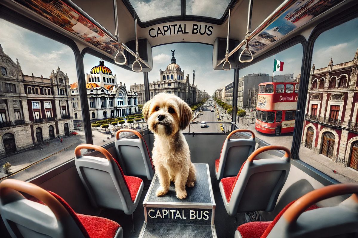 Patitas de Perro Night Tour en la CDMX