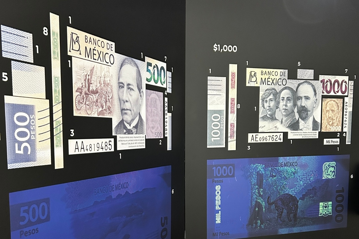Billetes exposición en Museo Casa del Risco
