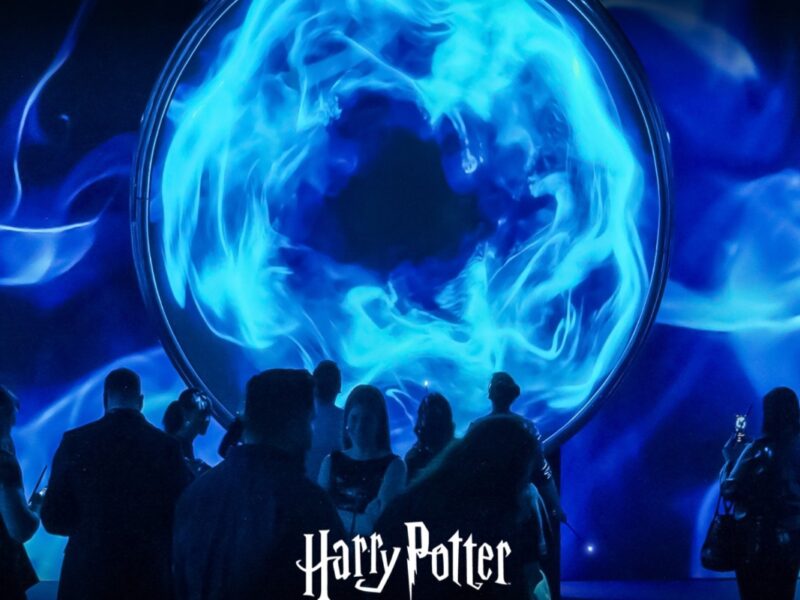 Harry Potter: Visions of Magic