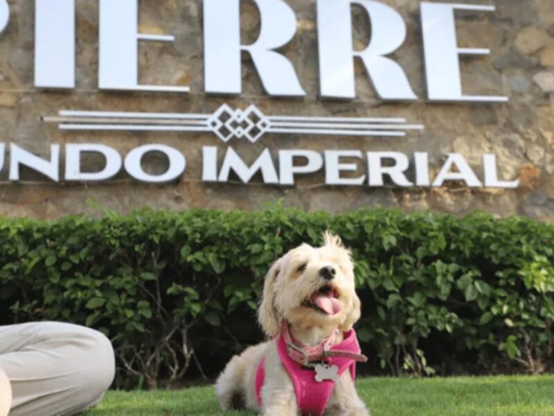 Alojamiento petfriendly en Acapulco