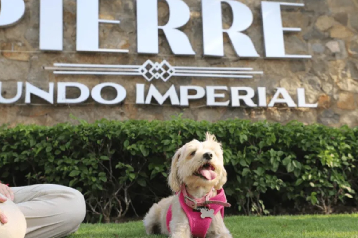 Alojamiento petfriendly en Acapulco