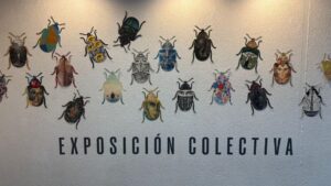 De la idea a la obra: Metamorfosis, homenaje plástico y gráfico a Kafka llega a la CDMX