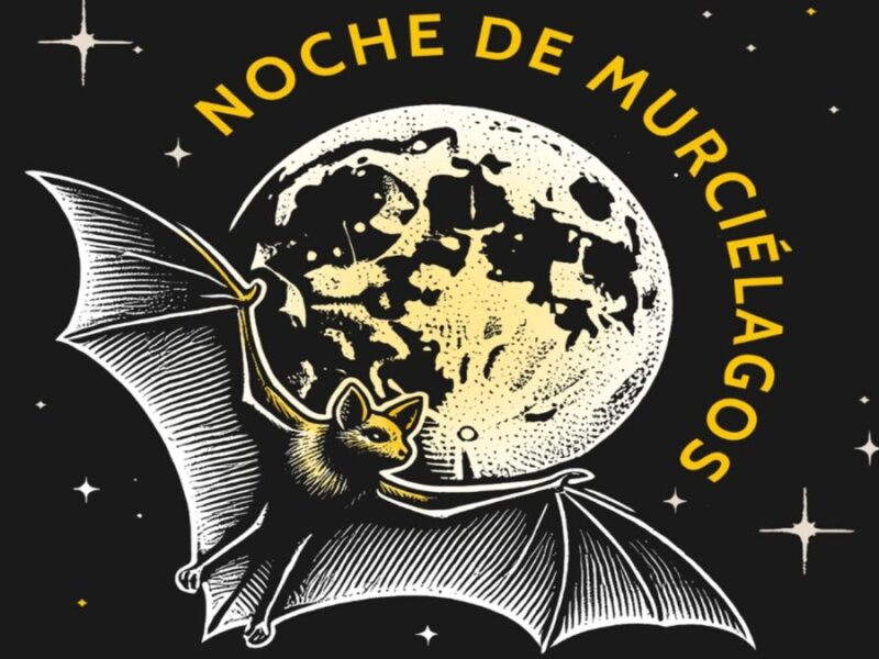 Noche de murciélagos en CDMX