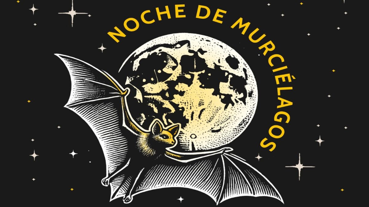 Noche de murciélagos en CDMX