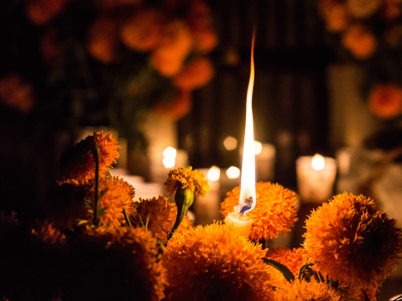 Ofrenda Monumental del Día de Muertos 2025 en el Zócalo