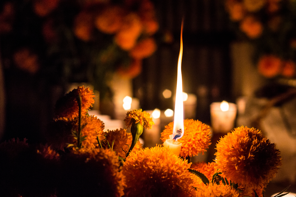 Ofrenda Monumental del Día de Muertos 2025 en el Zócalo