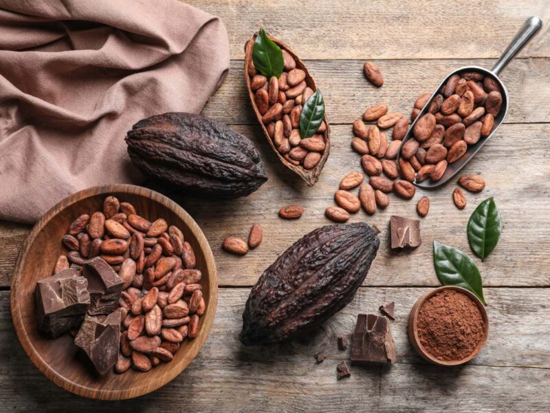 Cacao Yucatán