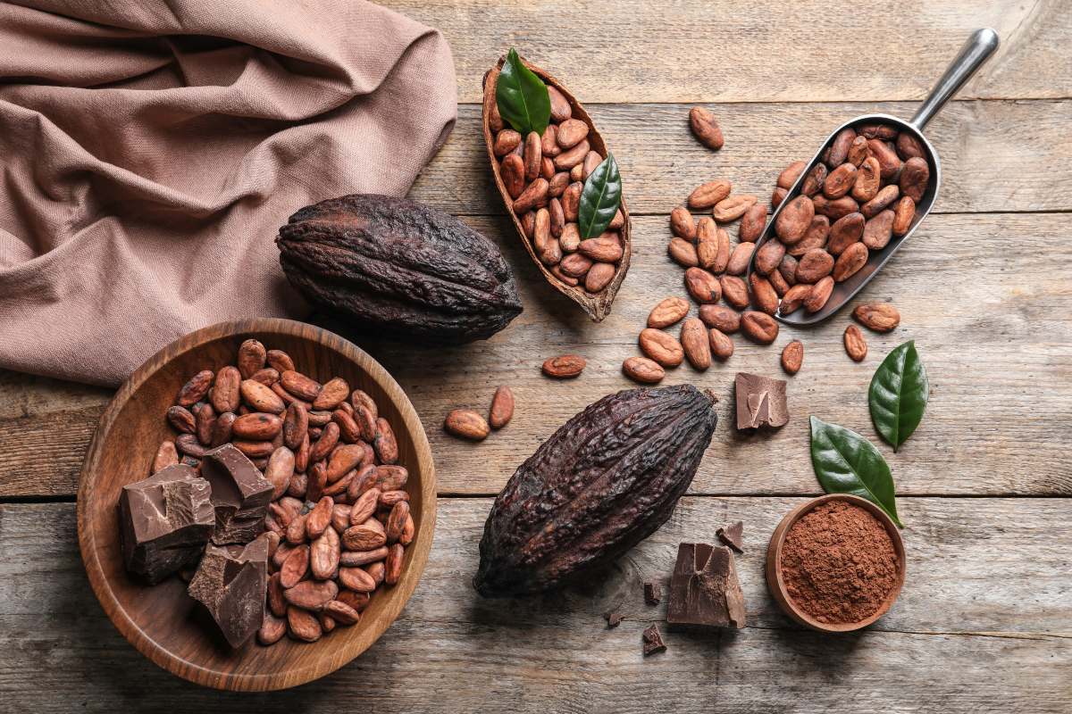 Cacao Yucatán