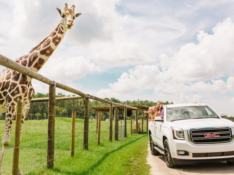 Explora la naturaleza de Kissimmee en familia y vive aventuras únicas al aire libre.