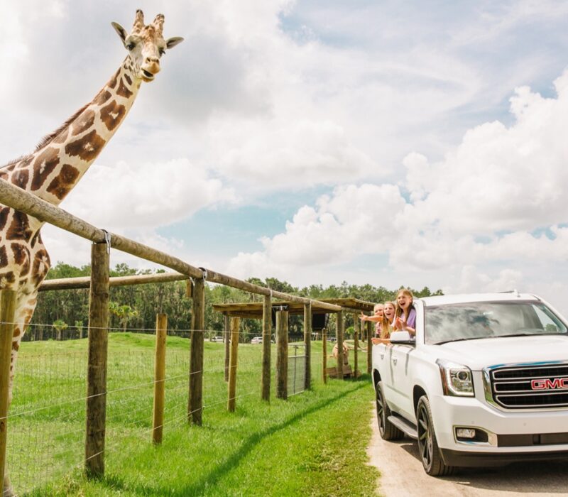 Explora la naturaleza de Kissimmee en familia y vive aventuras únicas al aire libre.