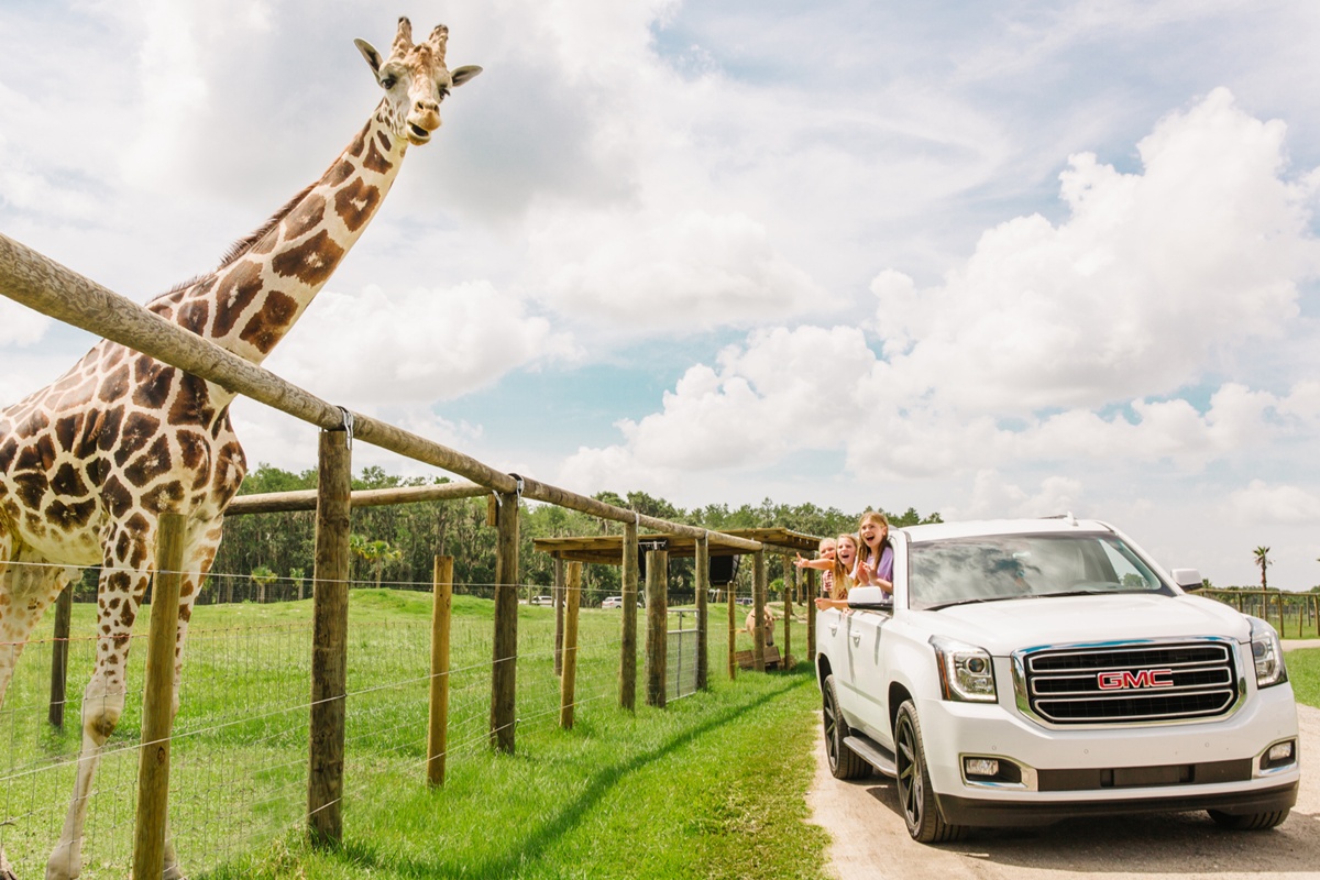 Explora la naturaleza de Kissimmee en familia y vive aventuras únicas al aire libre.