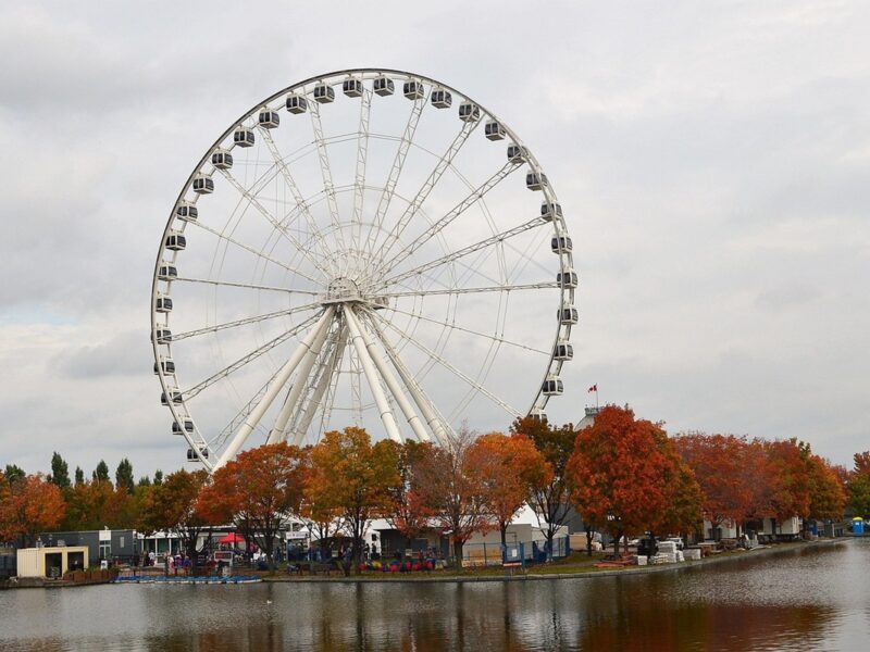 Los colores del otoño y la energía cultural de Montreal se fusionan en cada rincón de la ciudad, haciendo de esta temporada una de las más vibrantes del año.