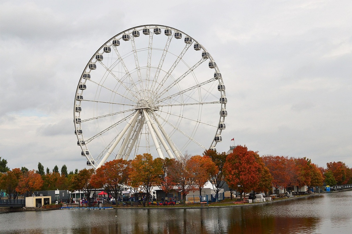 Los colores del otoño y la energía cultural de Montreal se fusionan en cada rincón de la ciudad, haciendo de esta temporada una de las más vibrantes del año.