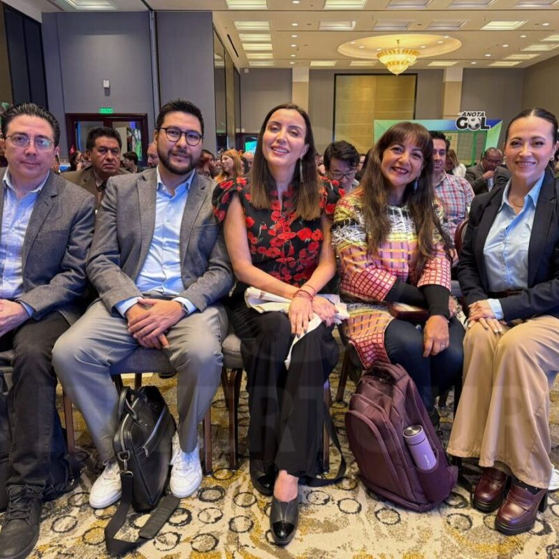 consolid-gma-anota-gol-10