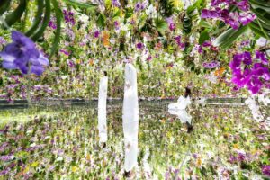 Sumérgete en TeamLab Planets, donde el arte digital hace visible lo invisible.