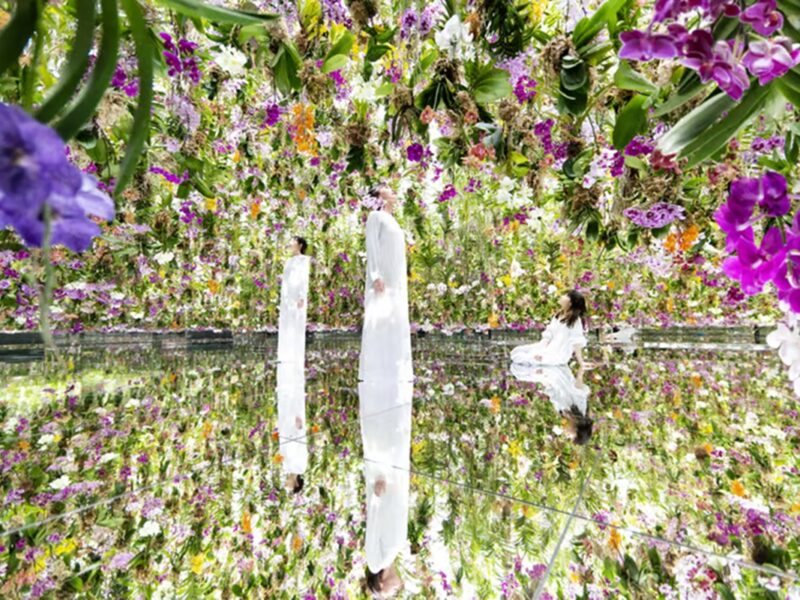 Sumérgete en TeamLab Planets, donde el arte digital hace visible lo invisible.