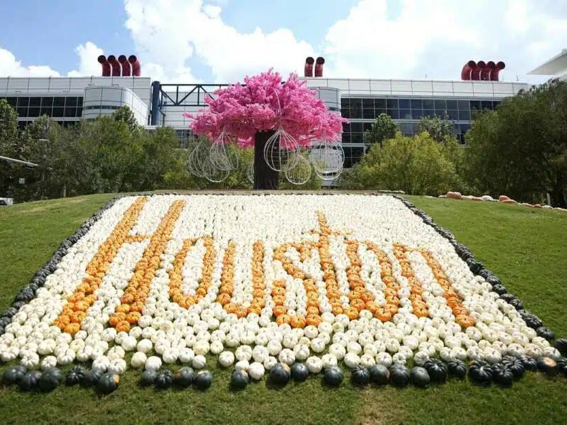La magia del otoño llega al centro de Houston con el Festival de Calabazas, donde la diversión y la creatividad se viven en cada rincón.