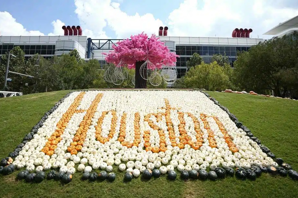 La magia del otoño llega al centro de Houston con el Festival de Calabazas, donde la diversión y la creatividad se viven en cada rincón.