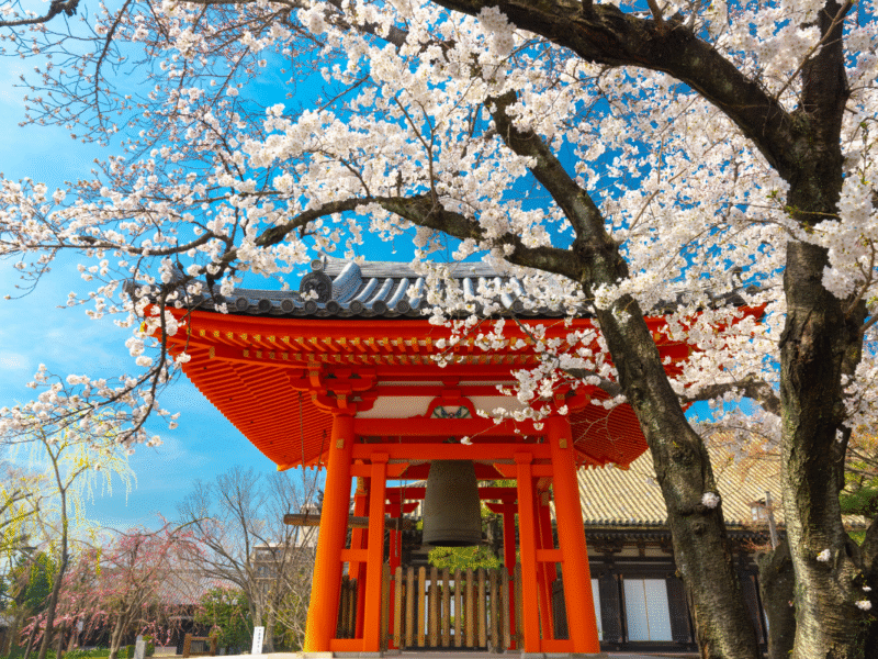 Japón