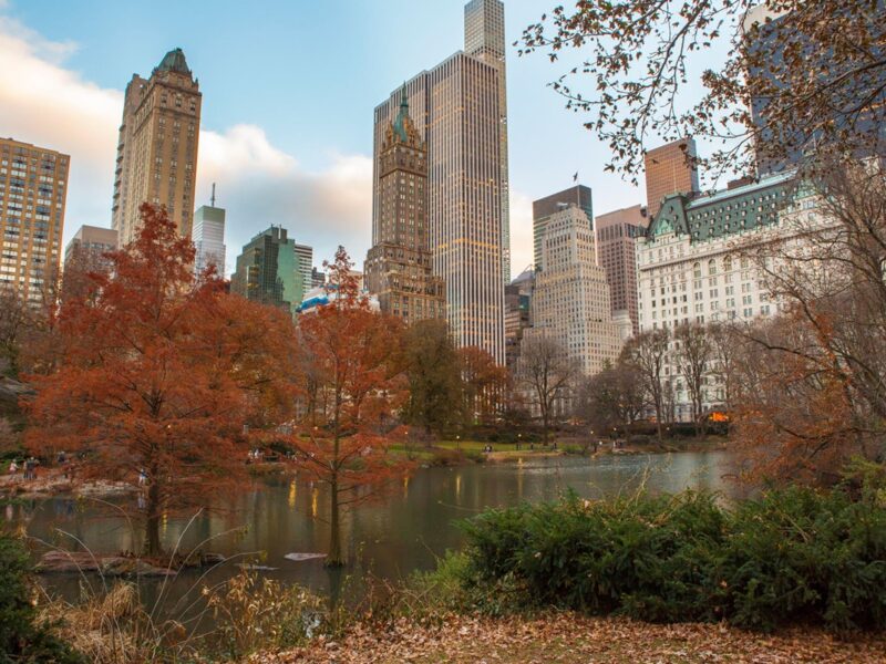 Nueva York en otoño: moda, arte y naturaleza se combinan para ofrecer experiencias únicas.