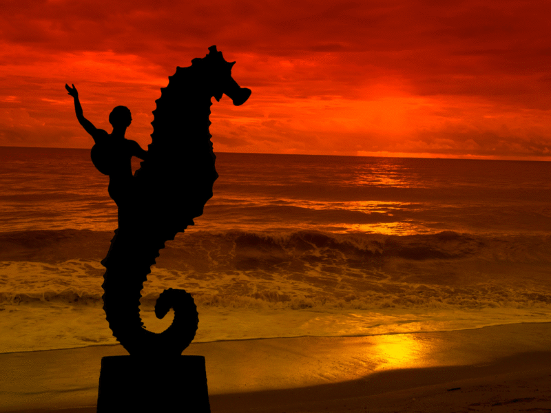 Puerto Vallarta en el Día Acción de Gracias