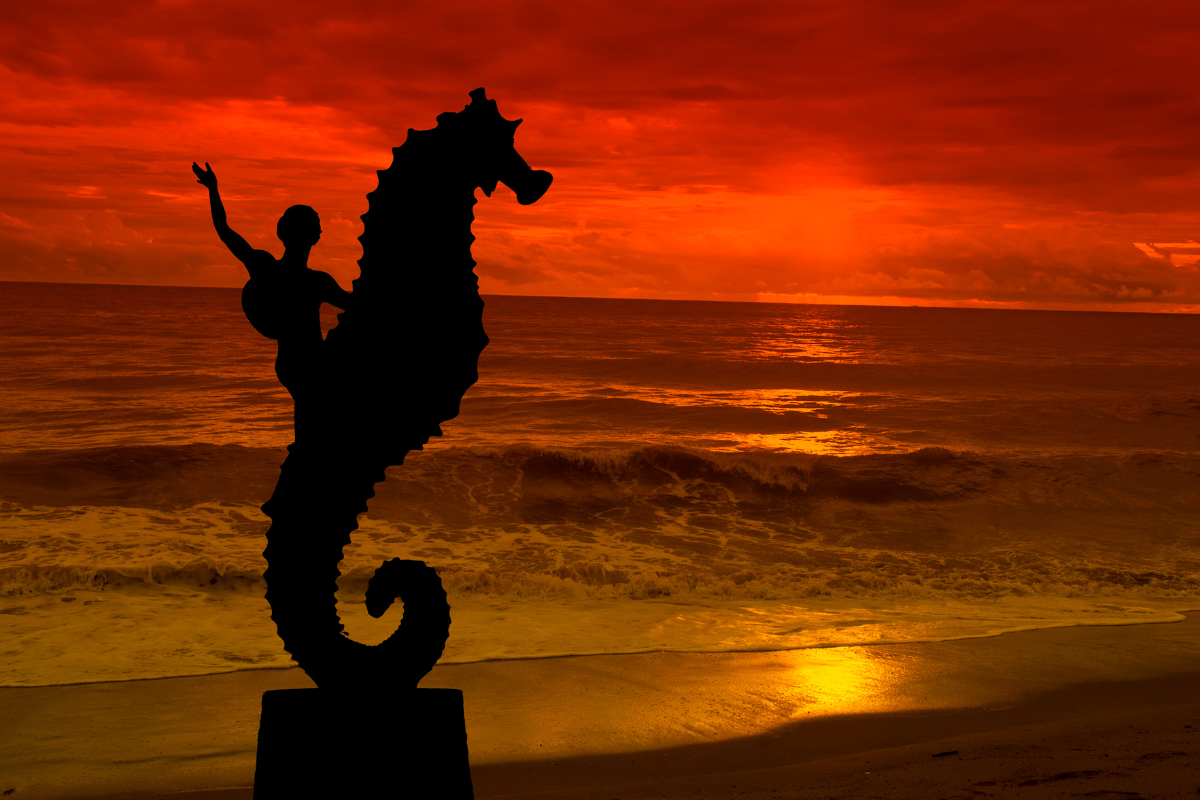 Puerto Vallarta en el Día Acción de Gracias