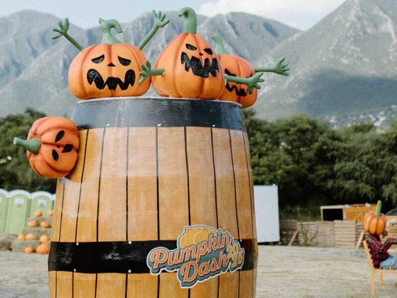 The Pumpkin Dash 2025