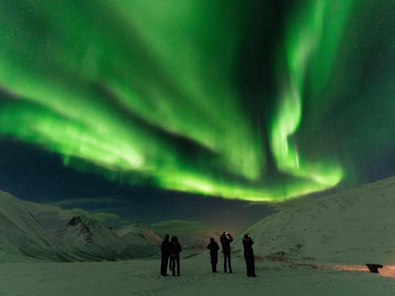 Viajeros disfrutan el espectáculo de la aurora boreal desde la Ruta Ártica.