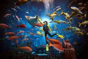 Acuario en Dubai