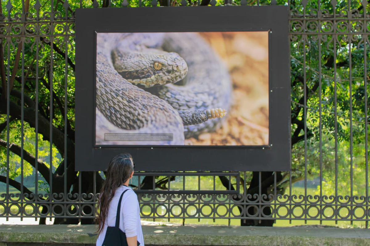 La exposición reúne 58 imágenes seleccionadas del Concurso de Fotografía Científica UNAM 2025.