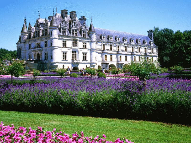 Château d’Amboise
