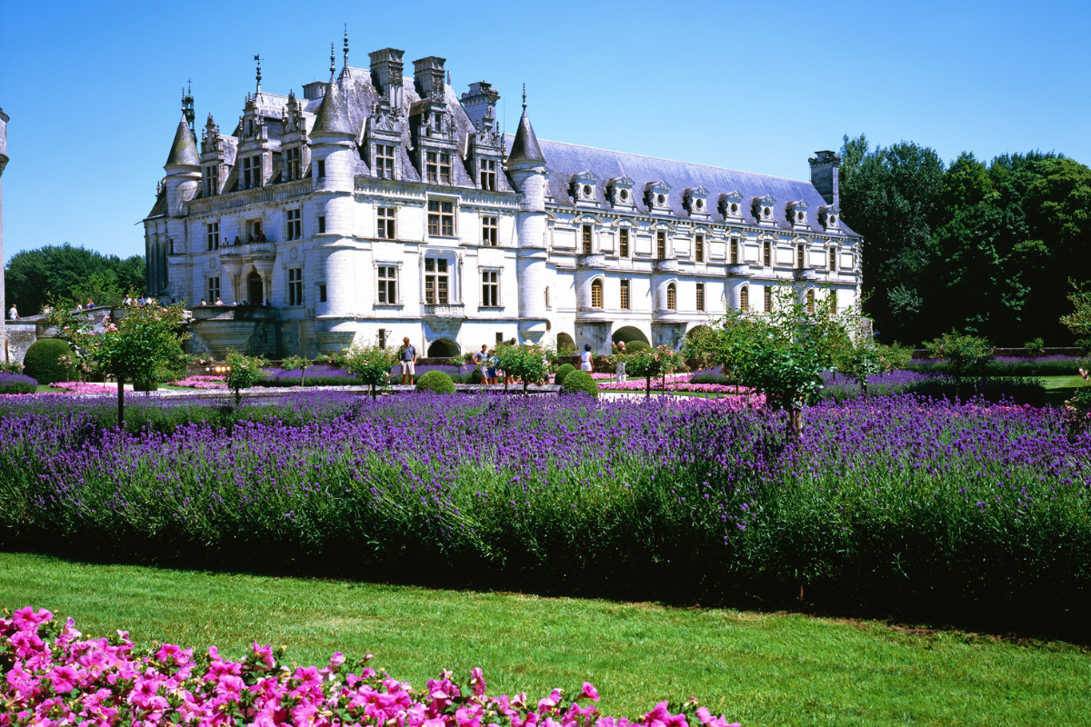 Château d’Amboise