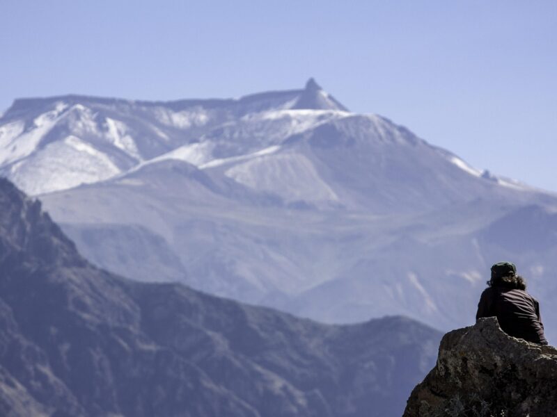 Vive aventuras únicas y despide el año creando recuerdos inolvidables.